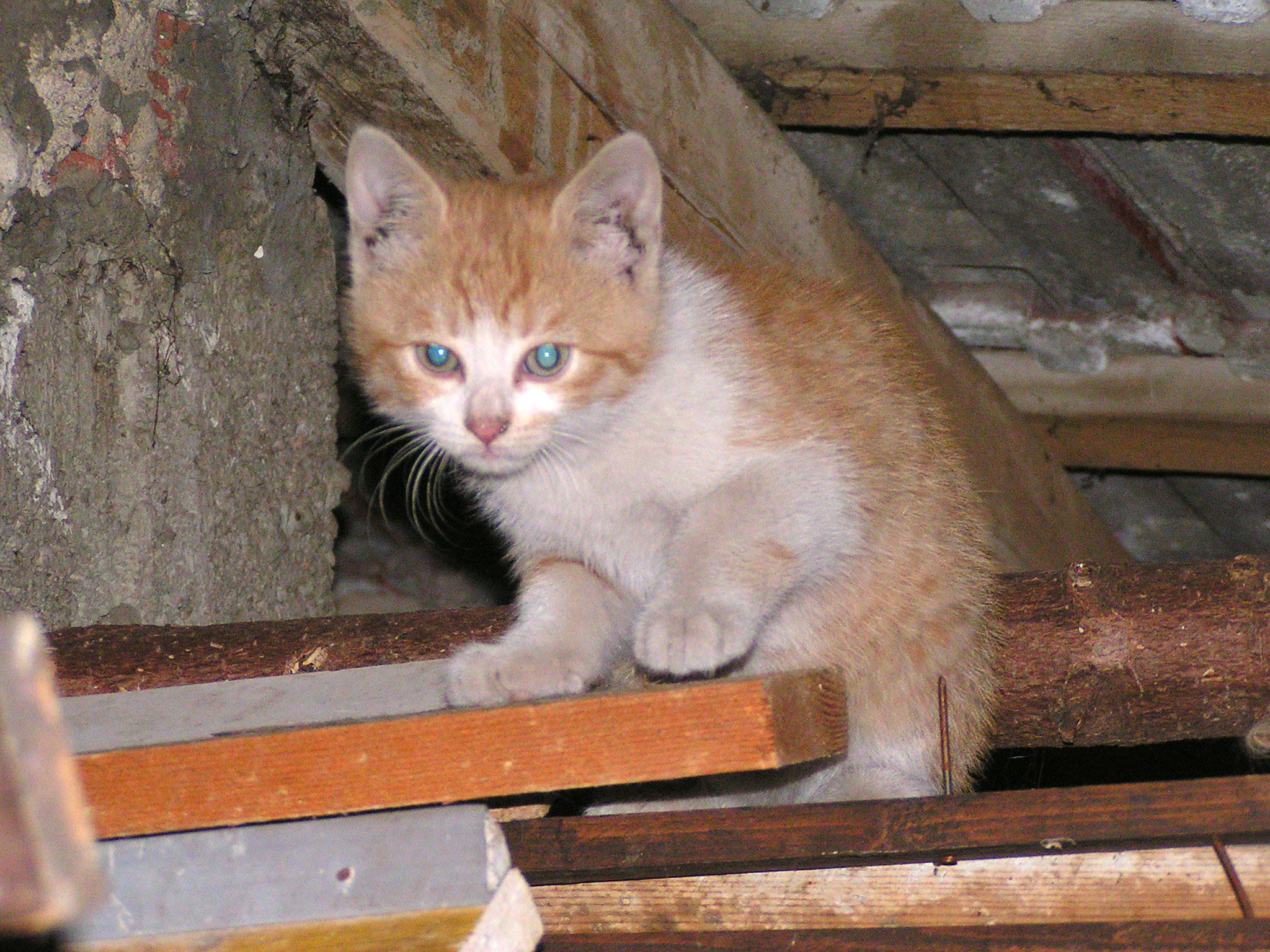 PICT3354.JPG