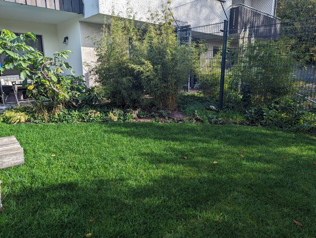 PXL_20231028_091855926.jpg