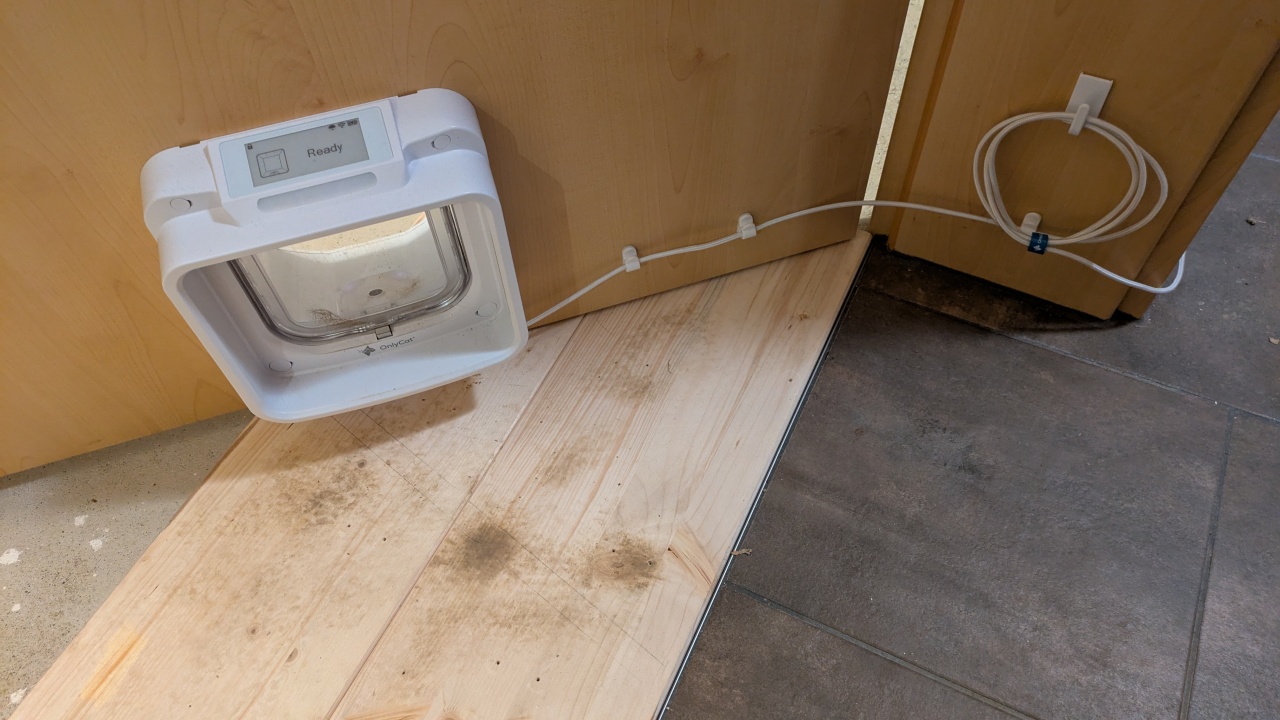 PXL_20250503_192435397.MP.jpg