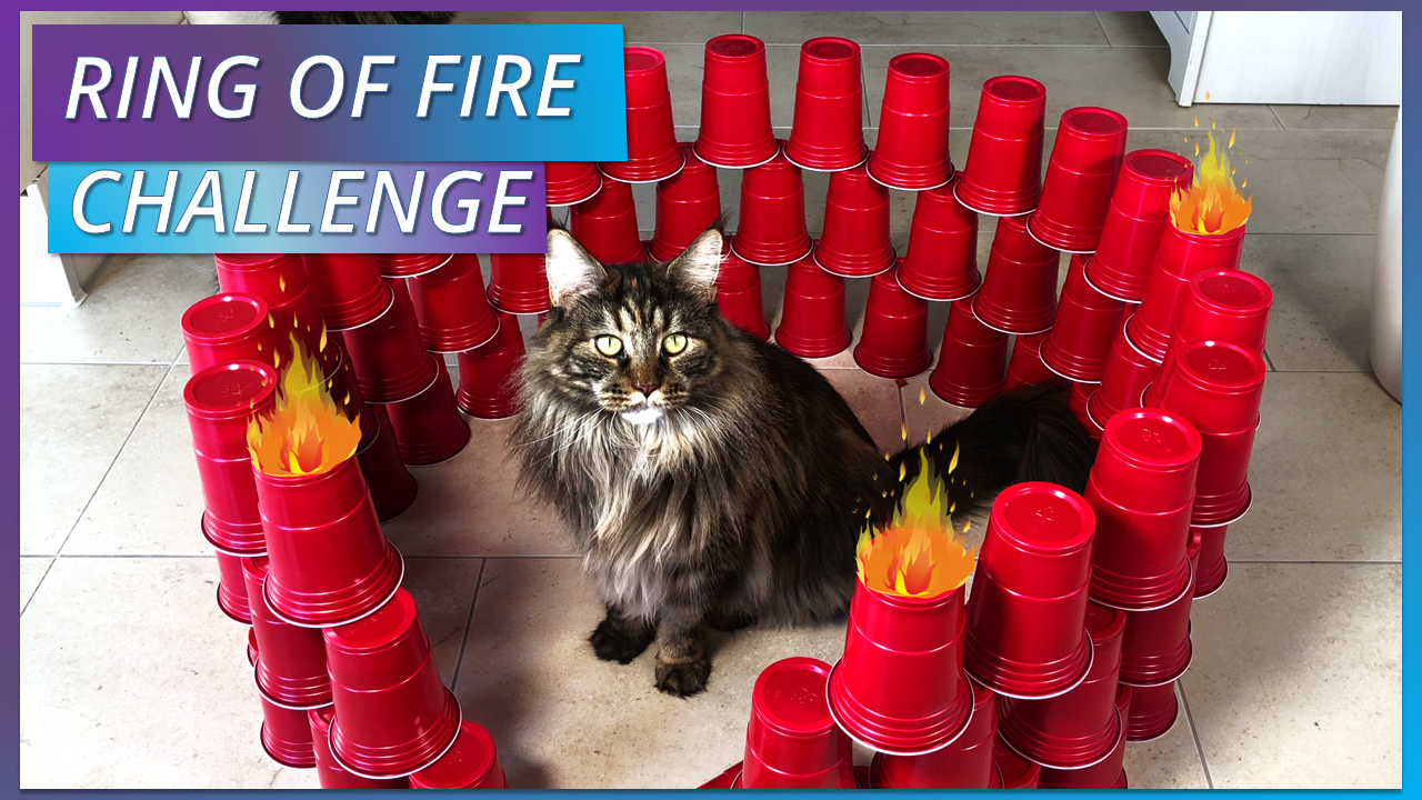 RingofFire.png