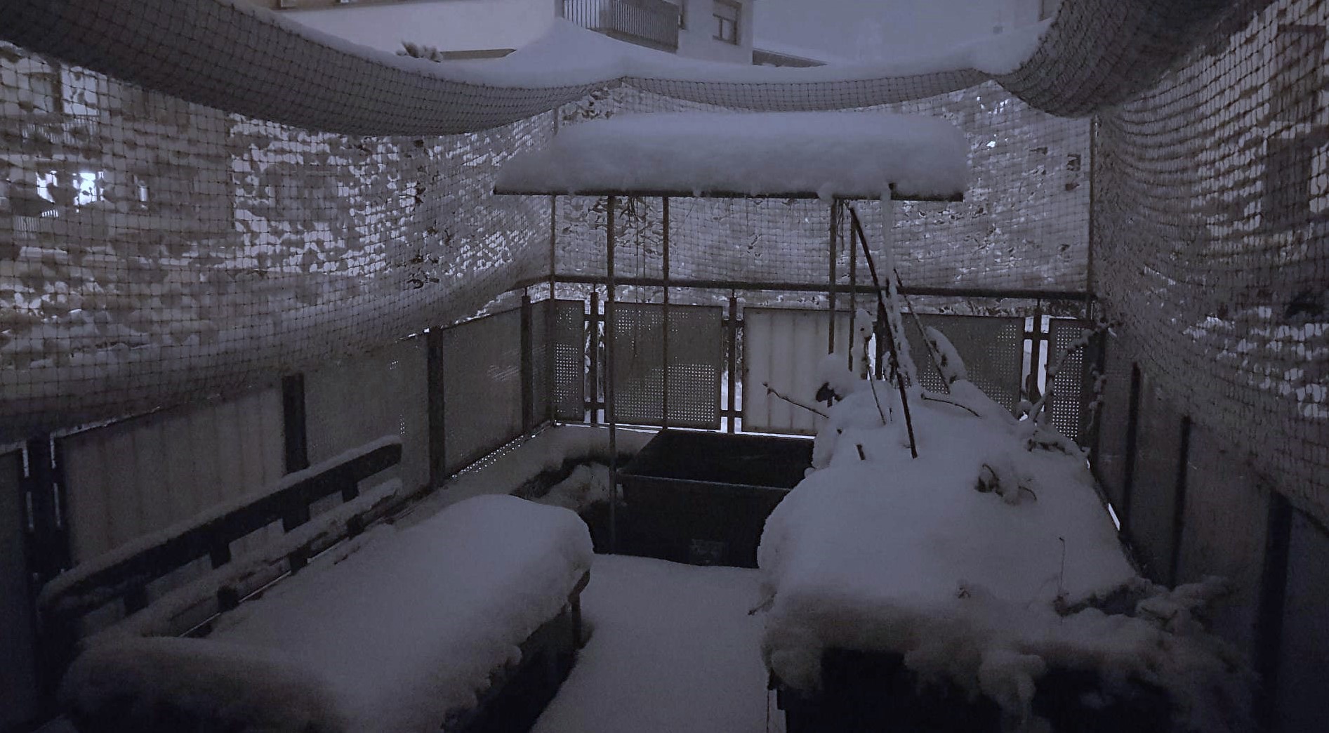 Schnee-231201_V.JPEG