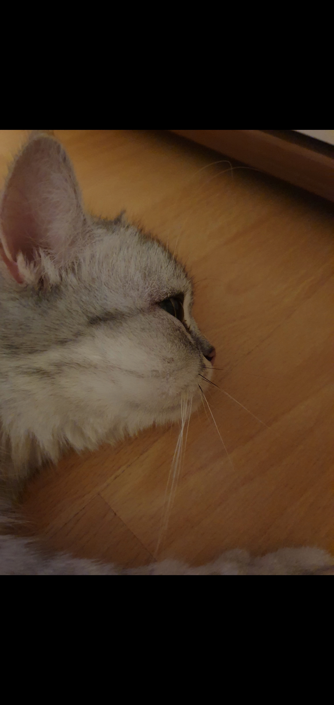 Screenshot_20200818-193654_Gallery.jpg