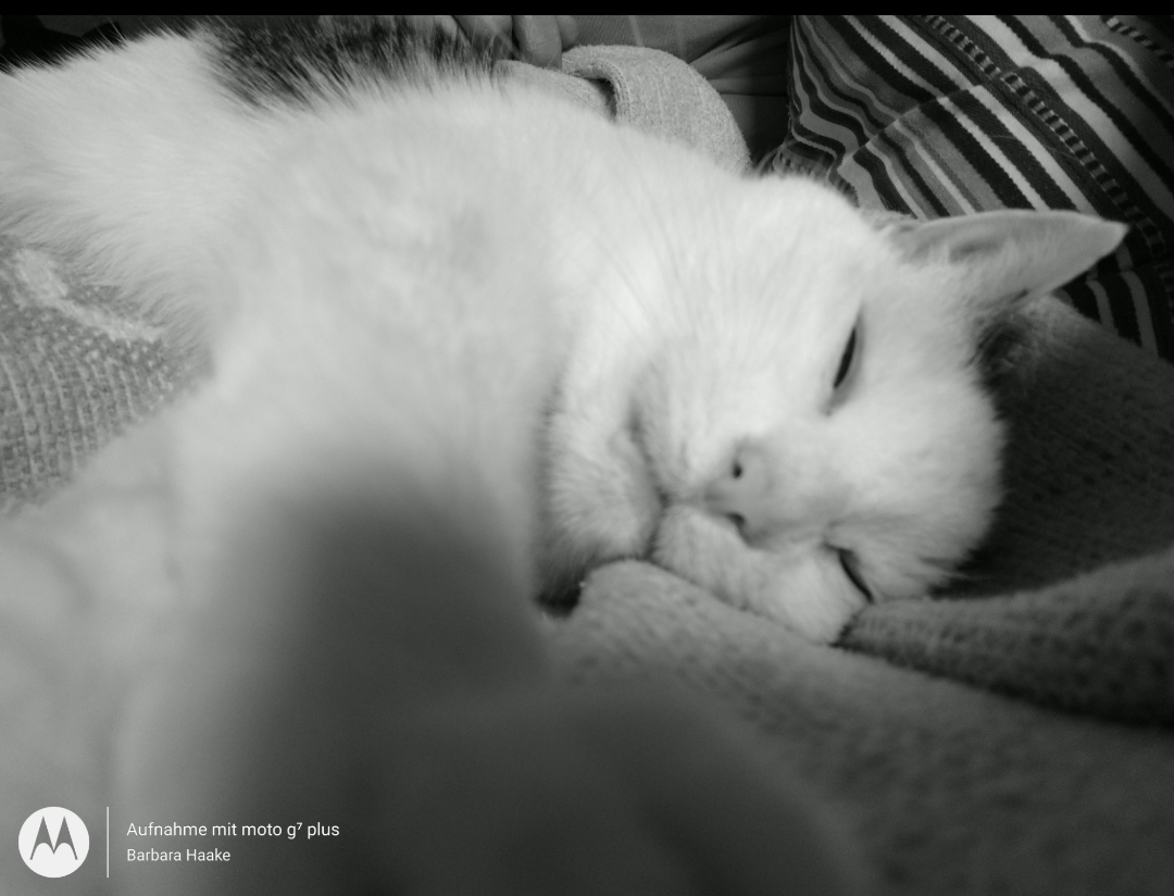 Screenshot_20210628-135108.png