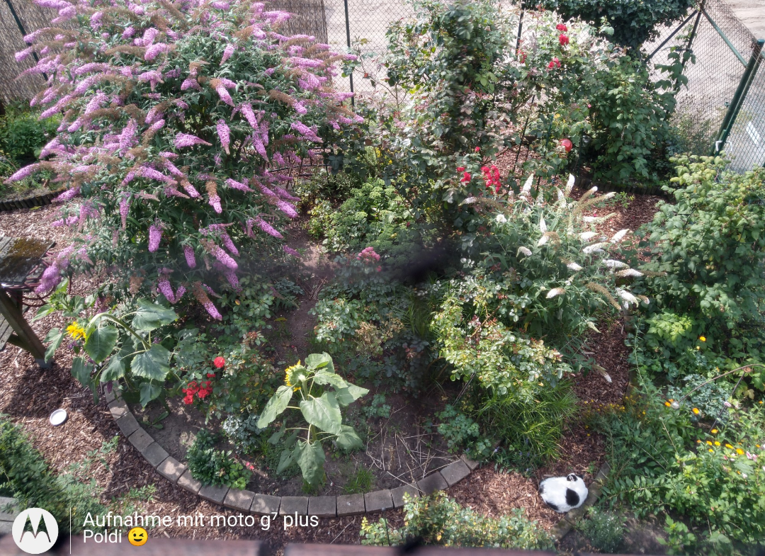 Screenshot_20210727-113502.png