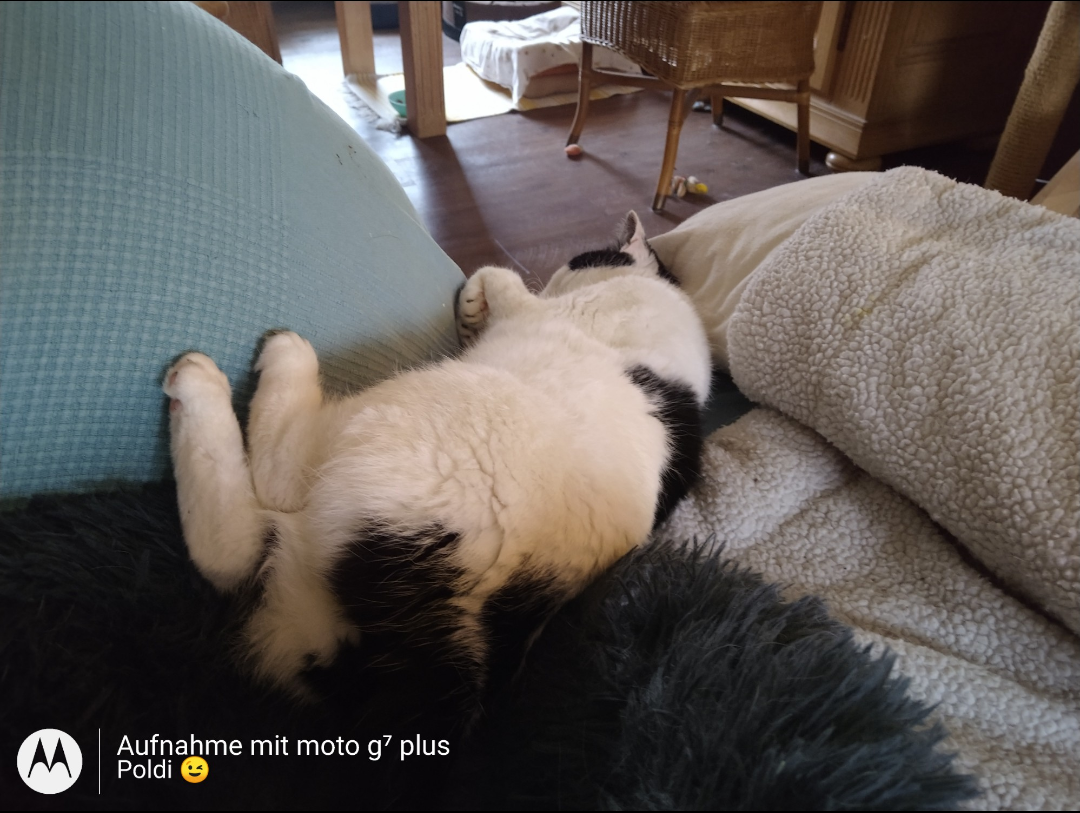 Screenshot_20220105-103333.png