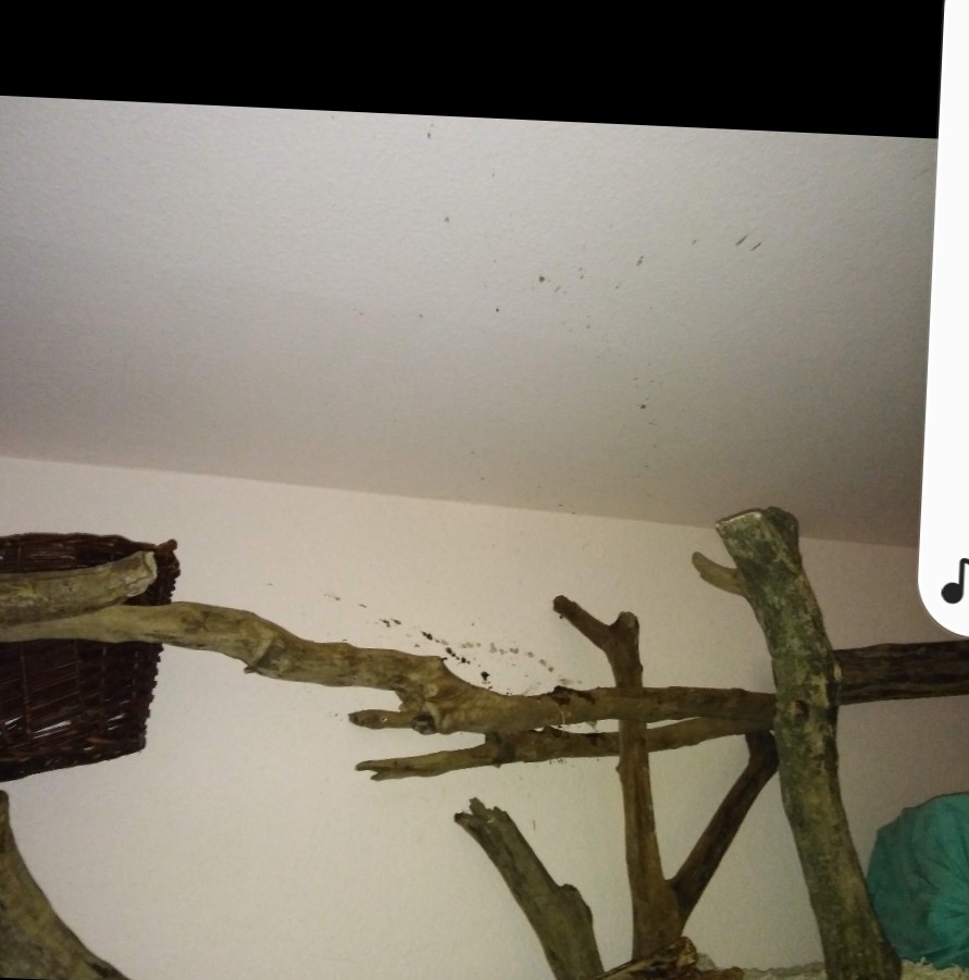 Screenshot_20220124-150034_Photos~2.jpg