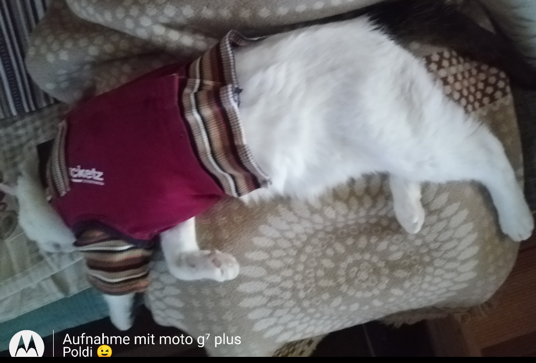 Screenshot_20220630-142459.png