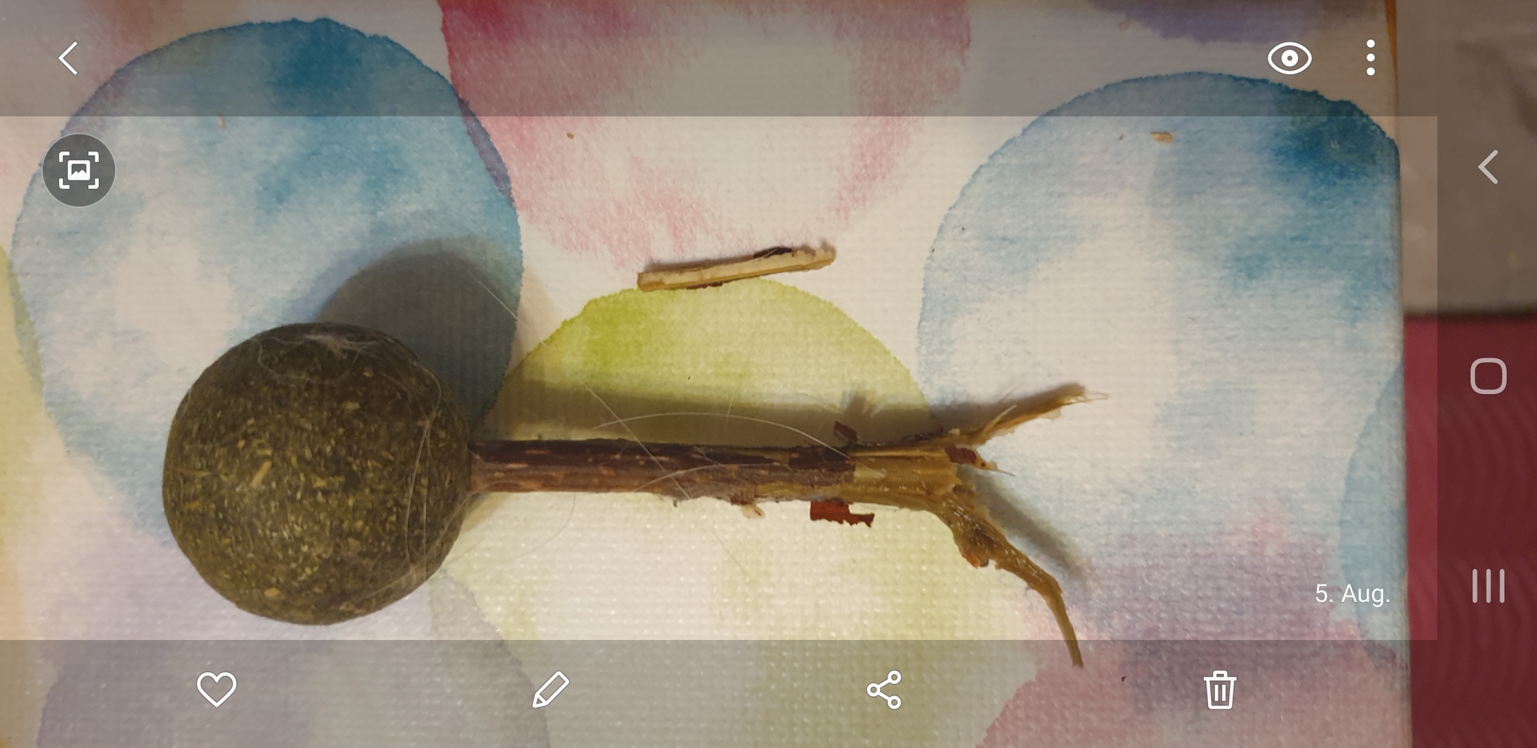 Screenshot_20220805-060524_Gallery.jpg