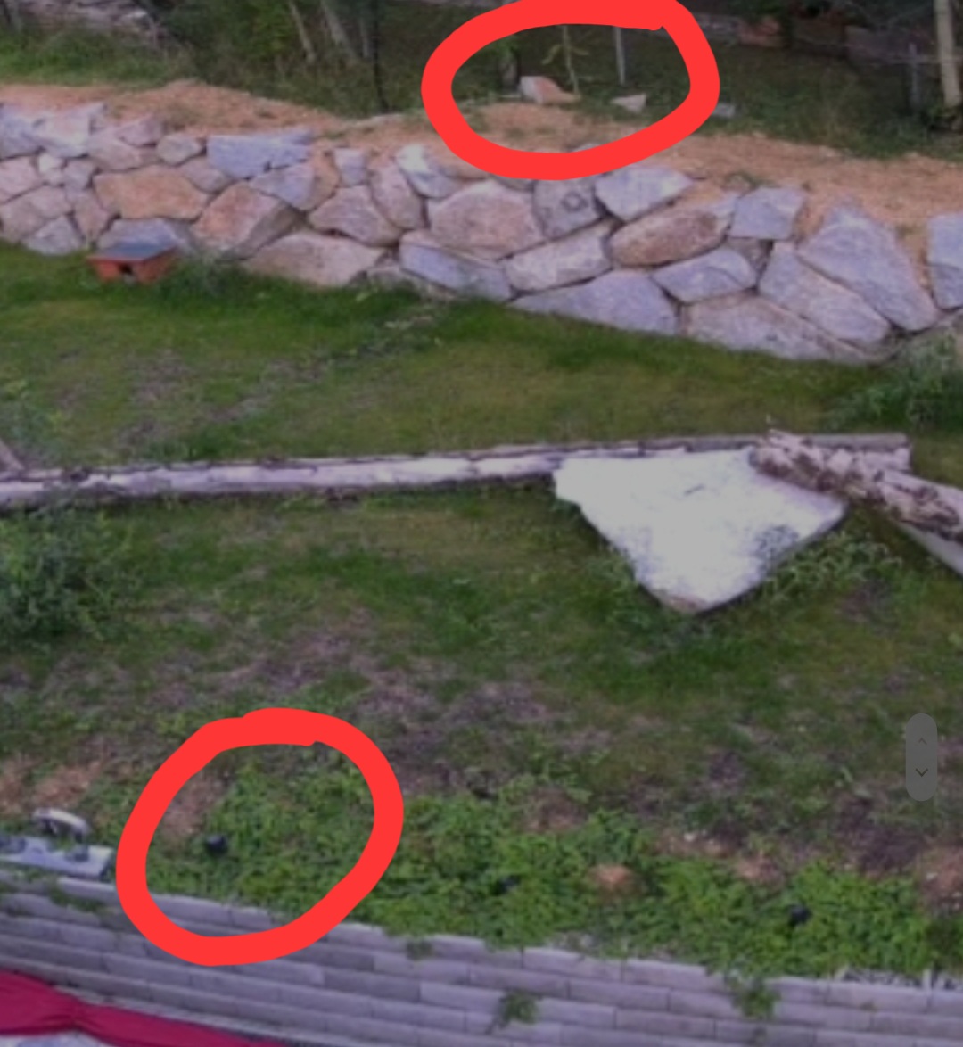 Screenshot_20220826-204856_Gallery.jpg