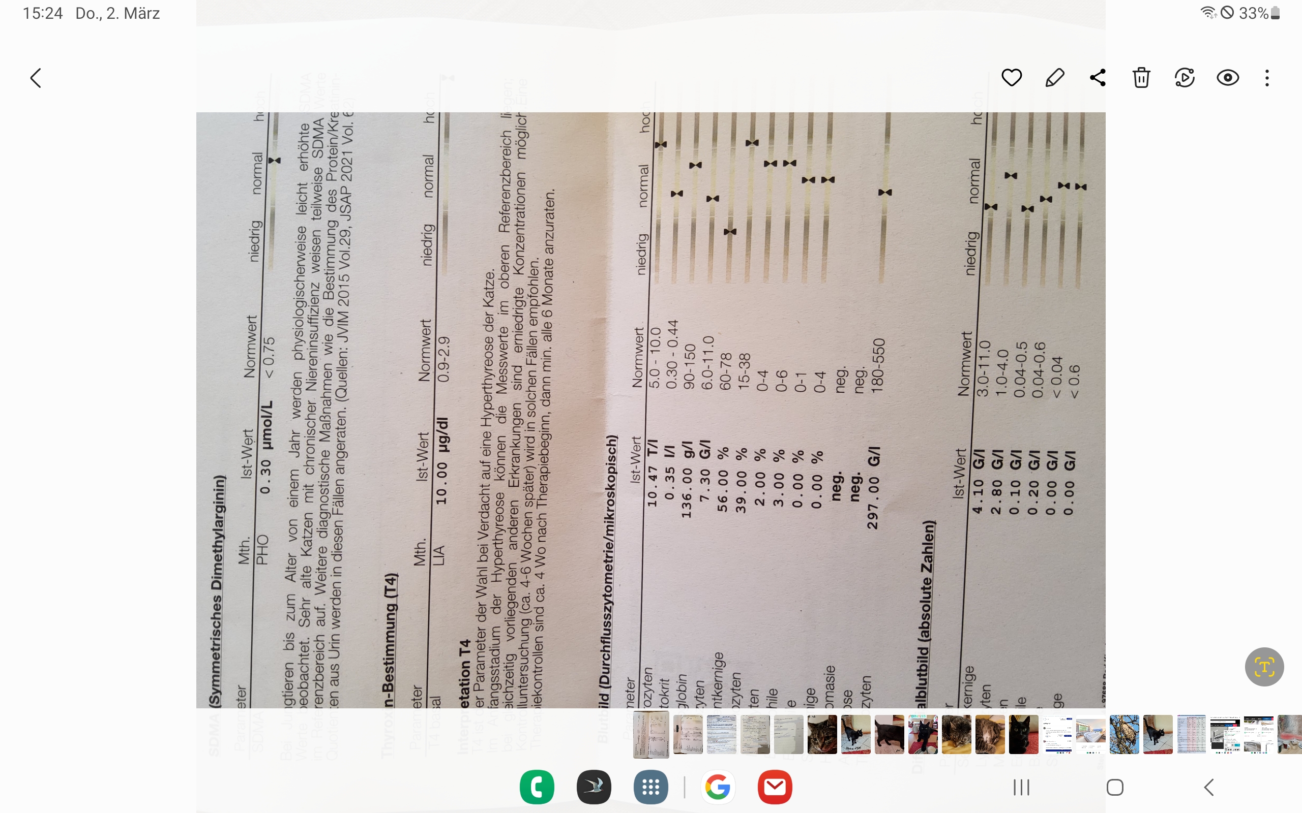Screenshot_20230302_152430_Gallery.jpg