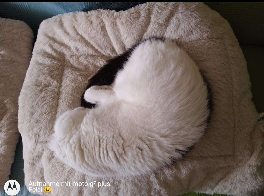 Screenshot_20230304-145554.png