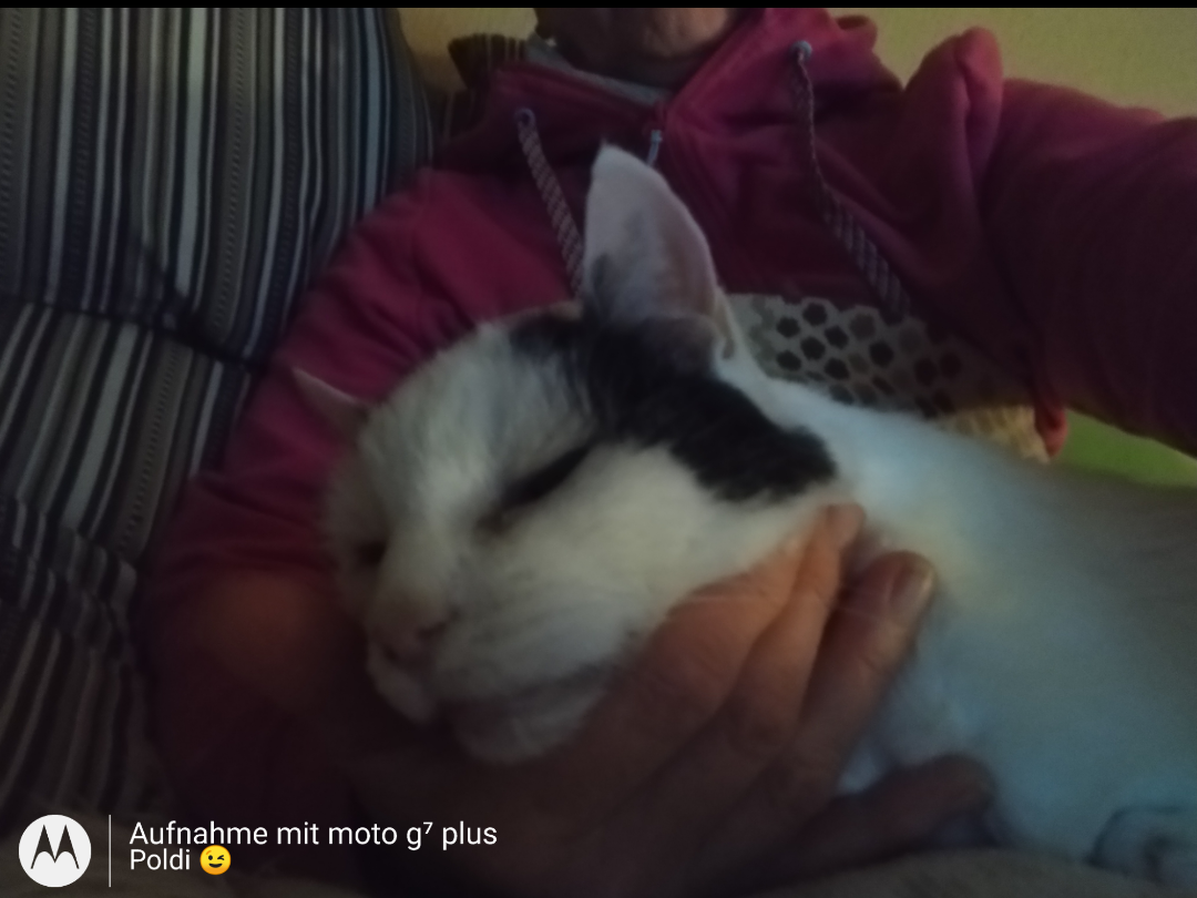 Screenshot_20240130-175635.png