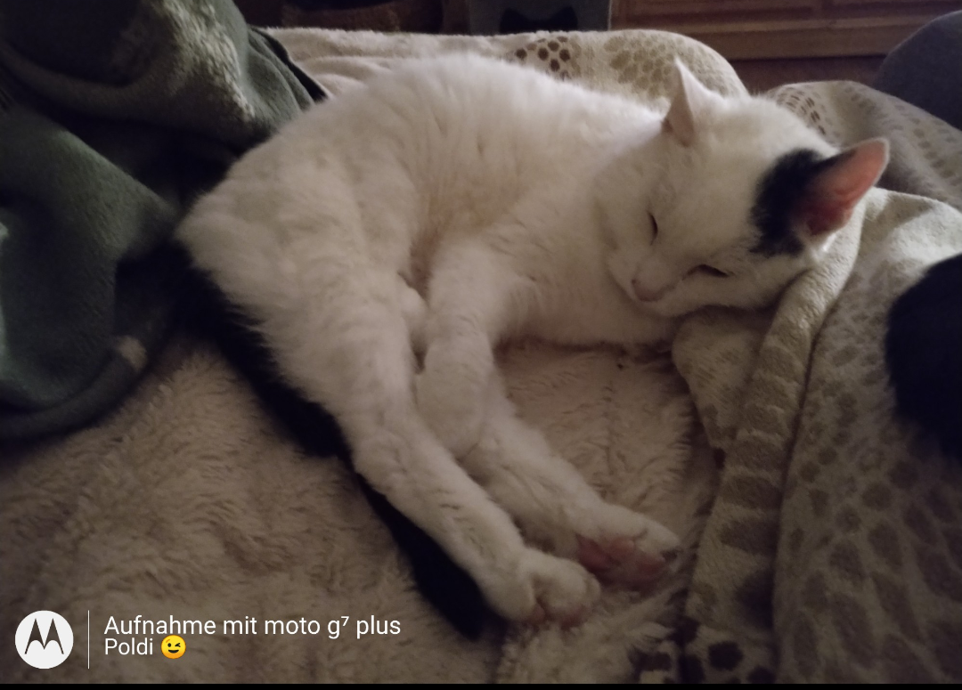 Screenshot_20240130-175702.png