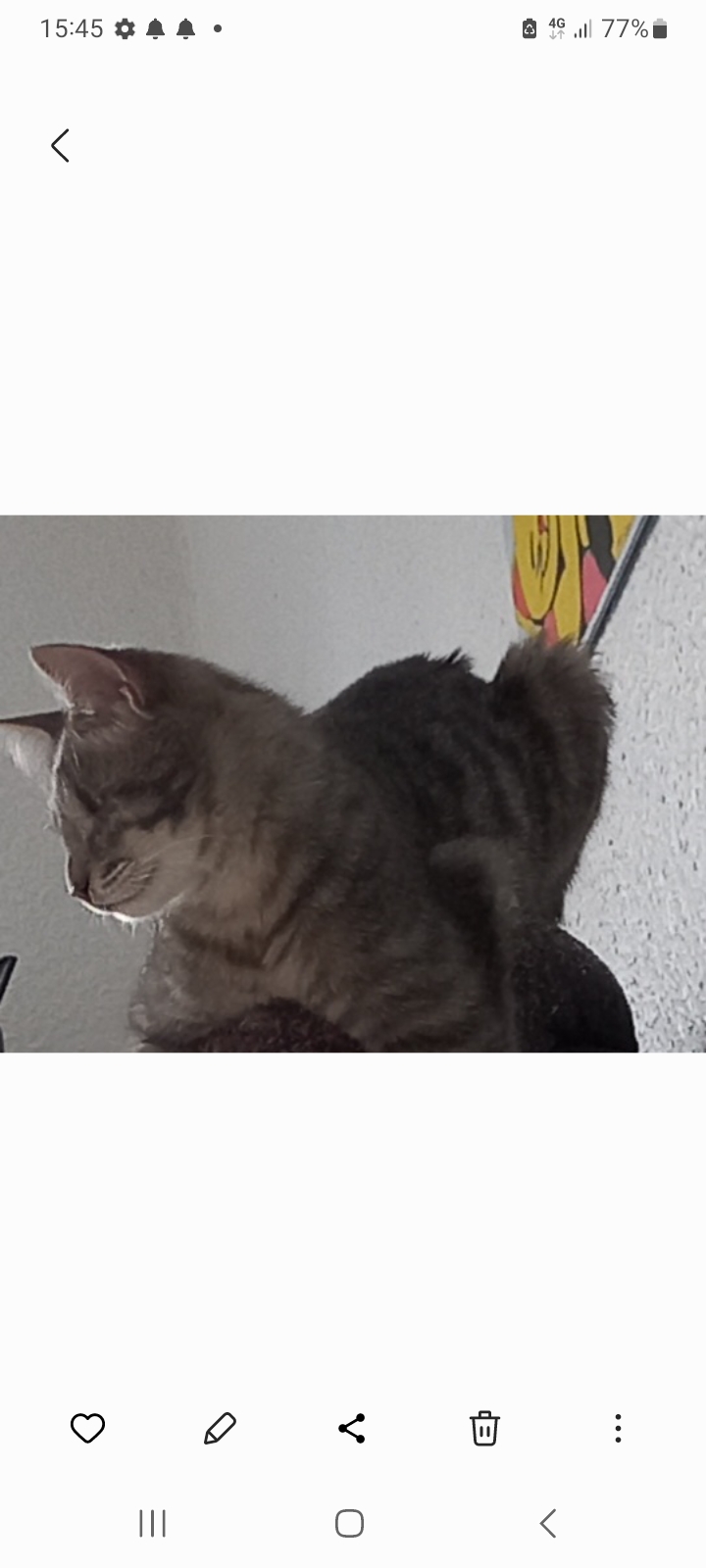 Screenshot_20240314_154521_Gallery.jpg