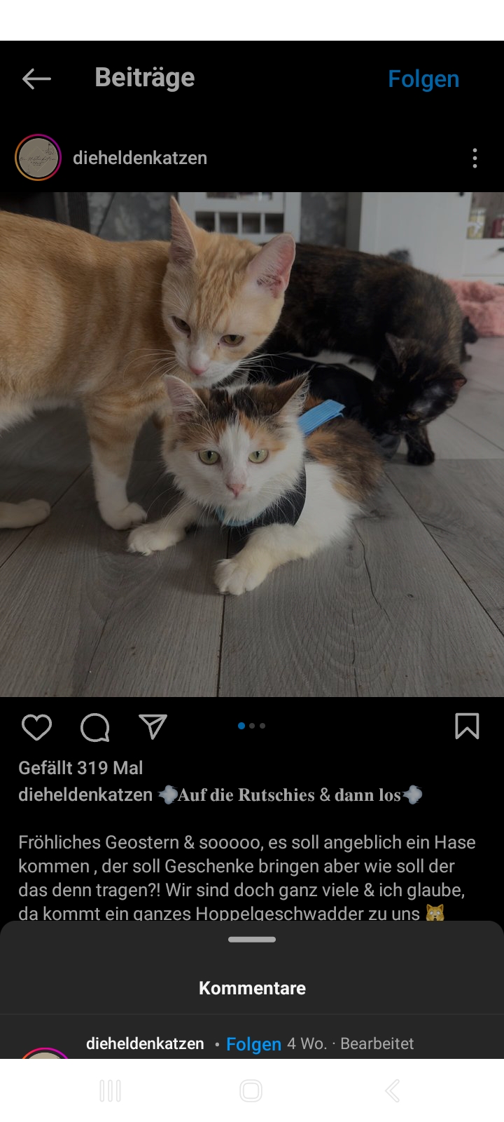 Screenshot_20240425_214832_Instagram.jpg