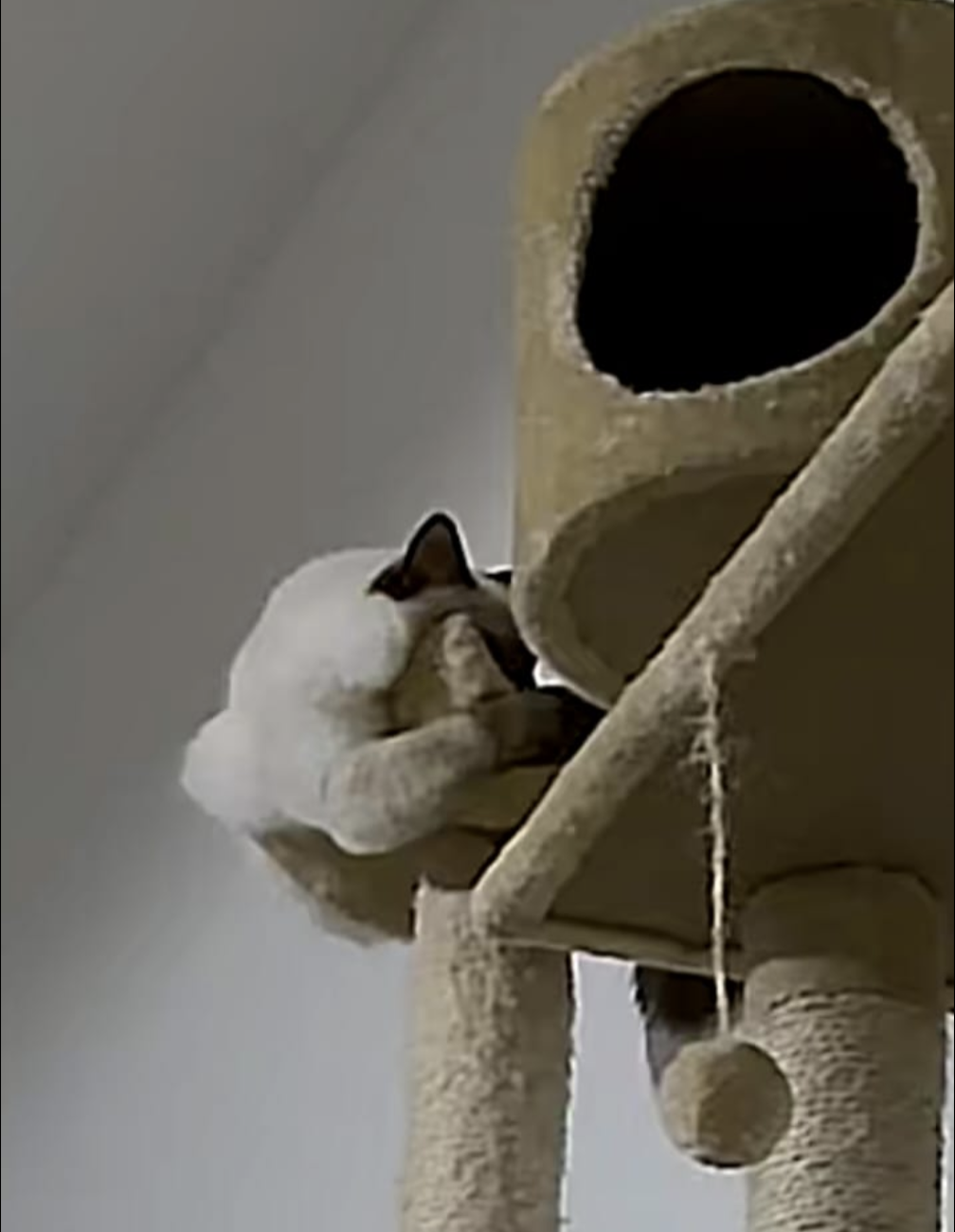 Screenshot_20240520-095618.png