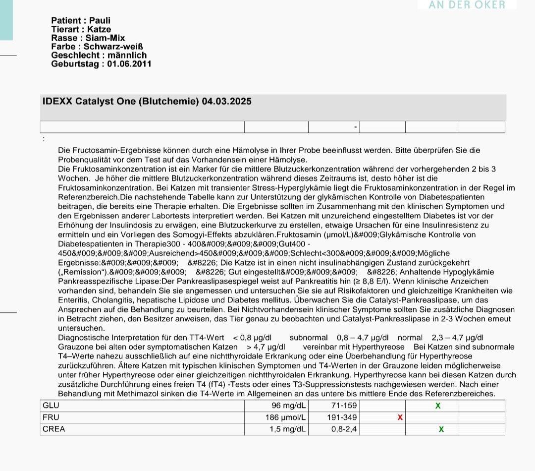 Screenshot_20250503_070249_GMX Mail.jpg