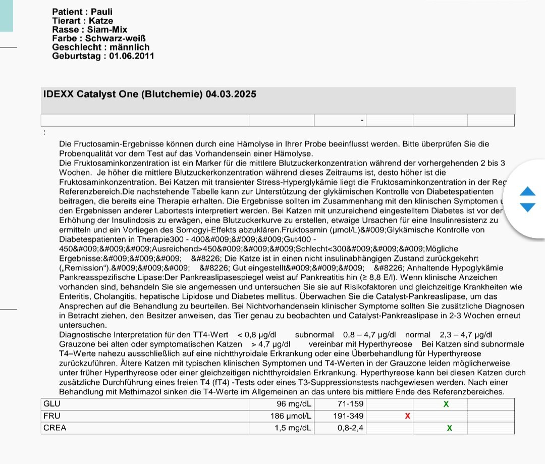 Screenshot_20250525_174957_GMX Mail.jpg