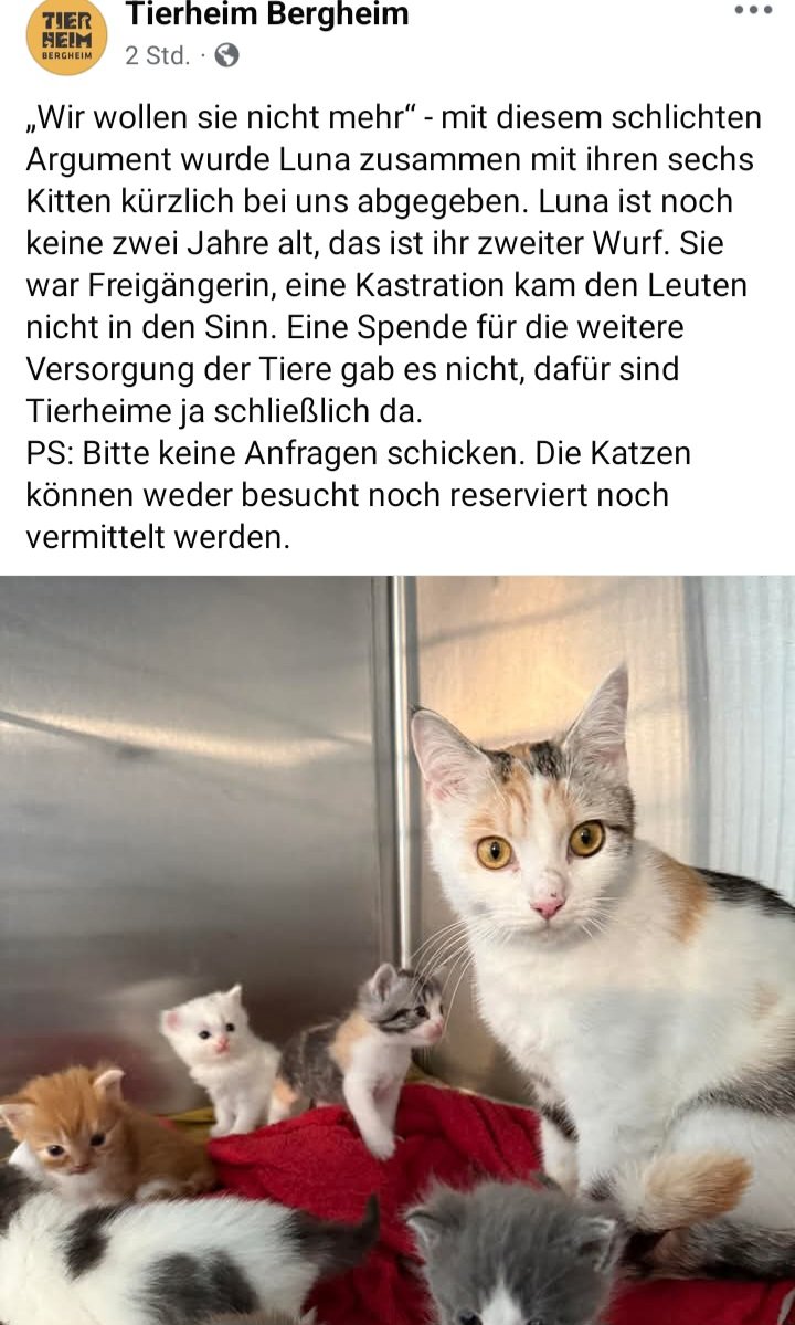 Screenshot_20250603_122521_Facebook.jpg