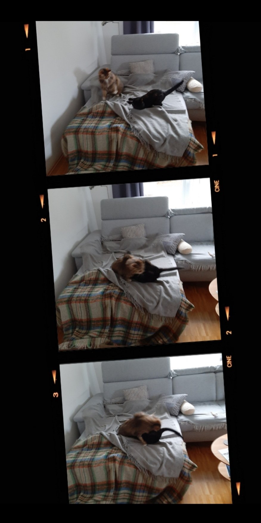 Screenshot_20250606-175932_Photos.jpg