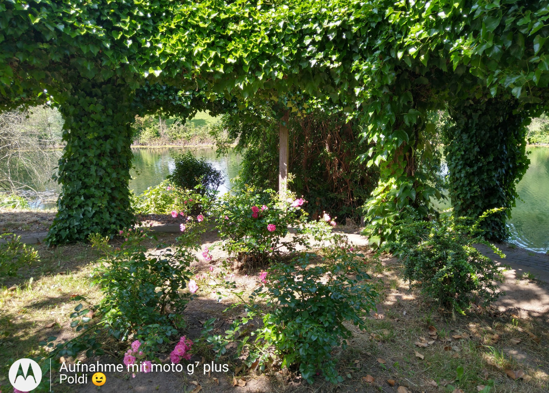 Screenshot_20250617-171531.png