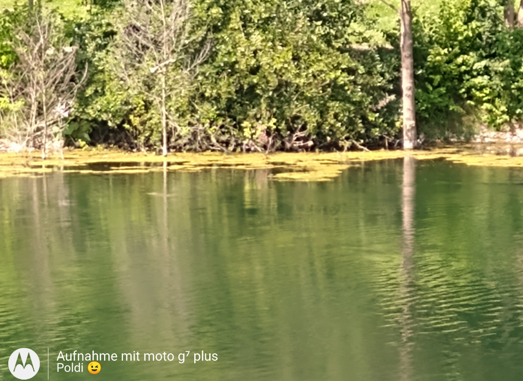 Screenshot_20250617-171542.png