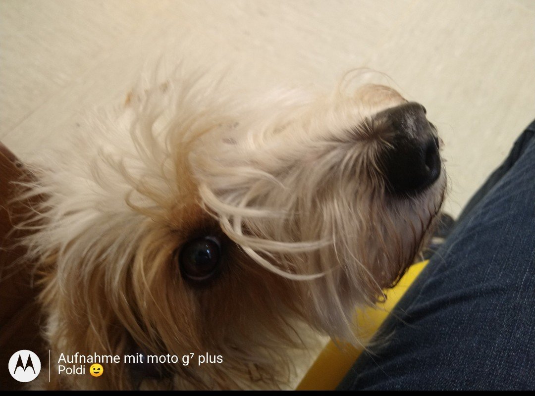 Screenshot_20250730-170443.png.jpg