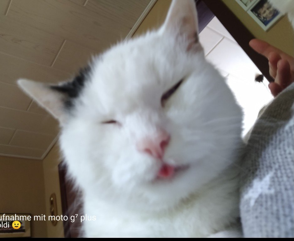Screenshot_20250808-130917.png.jpg