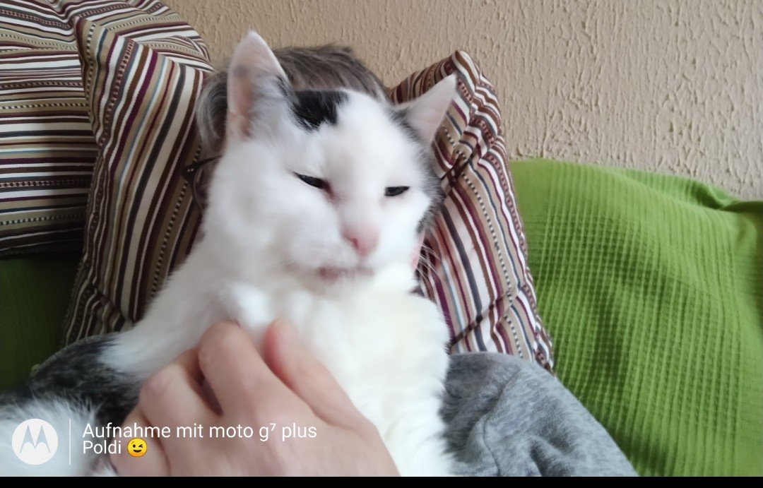 Screenshot_20250923-202842.png.jpg