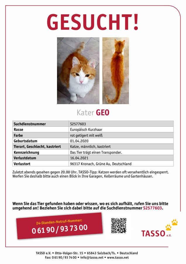 TASSO_Suchplakat_S2577603.jpg