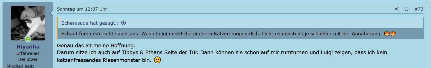 Unbenannt.JPG