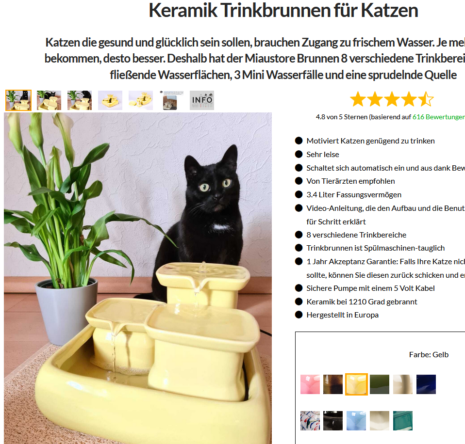 Unbenanntes Bild.png