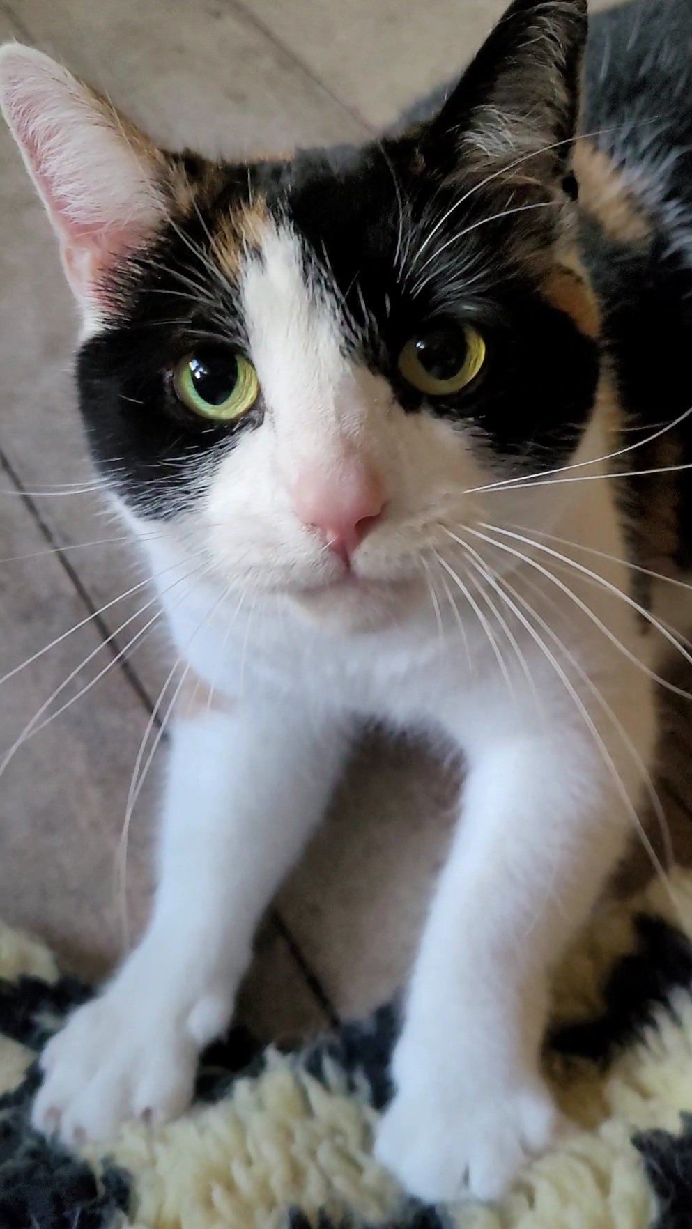 VideoCapture_20250430-191510.jpg