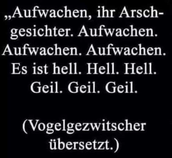 vogelgezwitscher.jpg