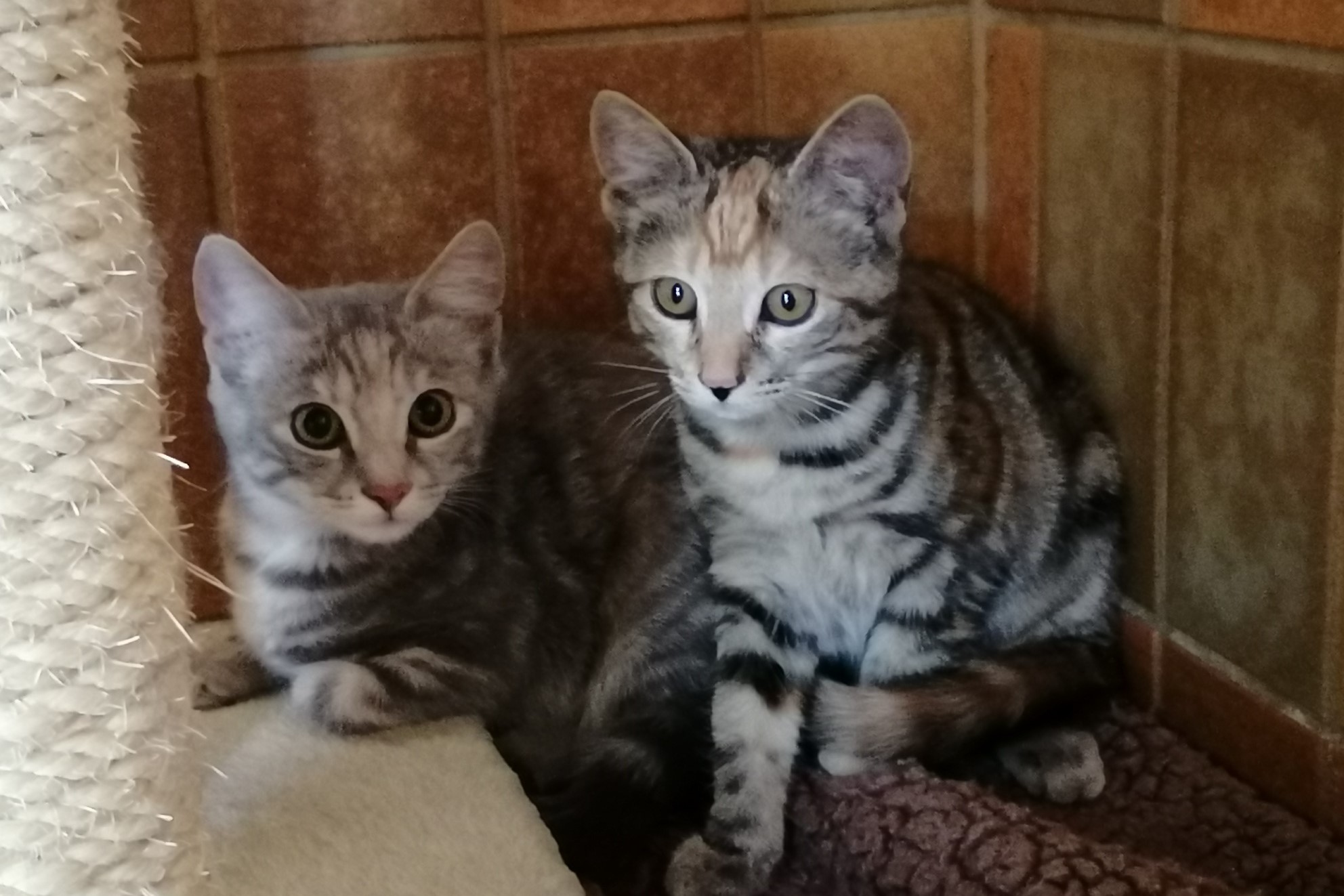 Wendy-und-Quendolin.jpg