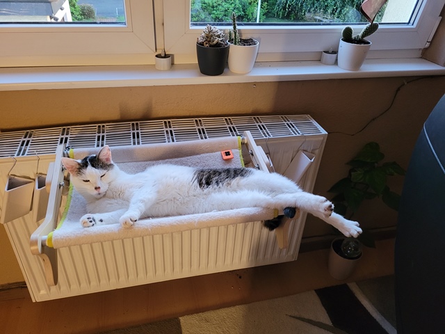Zuklein1.jpg