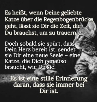 Zweite Seele.jpg
