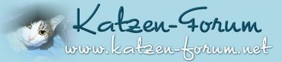 Katzen Forum - Das große Katzenforum