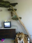 k-DSC00048.JPG