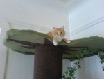 k-DSC00127.JPG