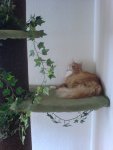k-DSC00128.JPG