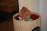 GARFIELD 012.jpg