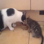 DSC01517.jpg
