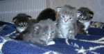 DSCN8854.jpg