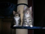 DSCN9059.jpg