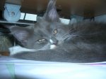 DSCN9096.jpg