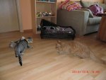 CIMG0422, 2.jpg