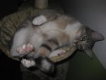 IMG_7224.jpg