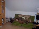 katzenzimmer 002.jpg