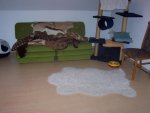 katzenzimmer 003.jpg